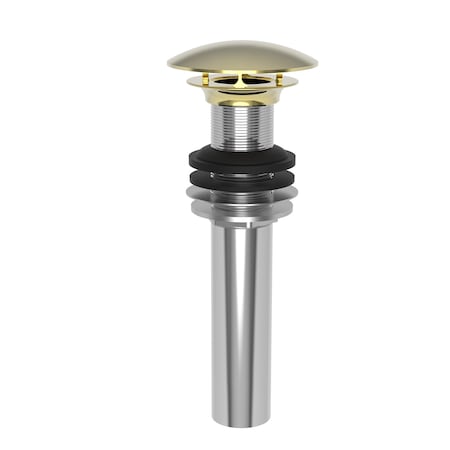 Newport Brass Lavatory Drain in Forever Brass (Pvd) 499-1-01